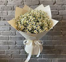 Букет цветов из:  Ромашки в Ожогино