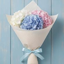 Букет цветов из:  Гортензия в Ожогино