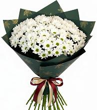 Букет цветов из:  Хризантемы #REPLACE_PRED# Ожогино