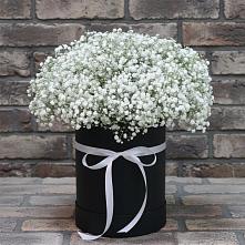 Цветочная композиция из Гипсофила в шляпной коробке #REPLACE_PRED# Ожогино