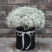 Цветочная композиция из Гипсофила в шляпной коробке в Ожогино