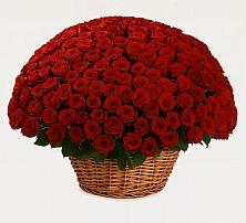 Премиум букет из: Розы в Ожогино