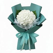 Букет цветов из:  Гортензия #REPLACE_PRED# Ожогино